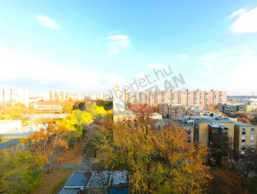 Kassai utca-budapest-iv-kerulet-kassai-utca_19.jpg