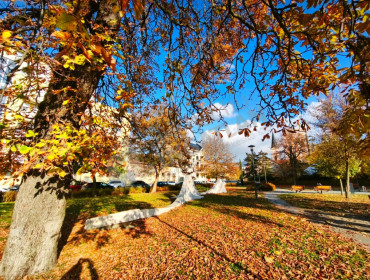 Kassai utca-budapest-iv-kerulet-kassai-utca_33.jpg