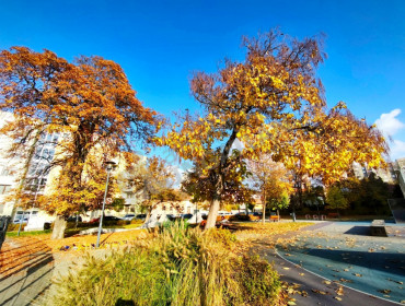 Kassai utca-budapest-iv-kerulet-kassai-utca_34.jpg