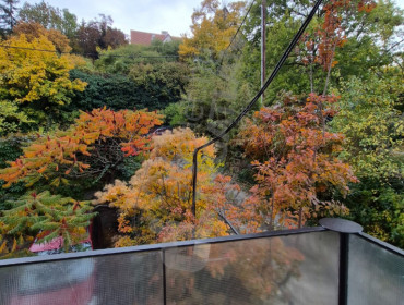 Kálló esperes utca-budapest-xii-kerulet-kallo-esperes-utca_17.jpg