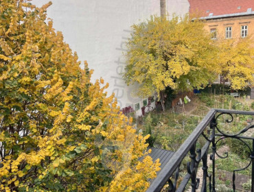 Dob utca-budapest-vii-kerulet-dob-utca_8.jpg