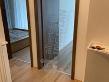 Petneházy utca-budapest-xiii-kerulet-petnehazy-utca_16.jpg