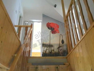 Nemes utca-budapest-xviii-kerulet-nemes-utca_11.jpg