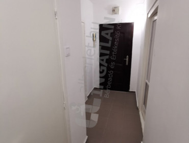 Pannónia utca-budapest-xiii-kerulet-pannonia-utca_14.jpg