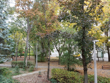 Amfiteátrum utca-budapest-iii-kerulet-amfiteatrum-utca_8.jpg