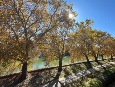 Almási Balogh Lóránd utca-budapest-iii-kerulet-almasi-balogh-lorand-utca_7.jpg