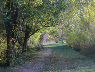 Csiperke utca-budapest-xxii-kerulet-csiperke-utca_15.jpg