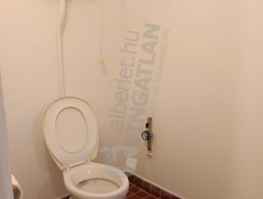 Nefelejcs utca-gyomro-nefelejcs-utca_18.jpg