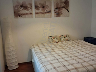 Tóth Kálmán utca-budapest-ix-kerulet-toth-kalman-utca_4.jpg