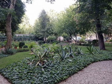 Dagály utca-budapest-xiii-kerulet-dagaly-utca_10.jpg