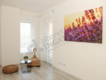 Pápay István utca-budapest-ix-kerulet-papay-istvan-utca_6.jpg