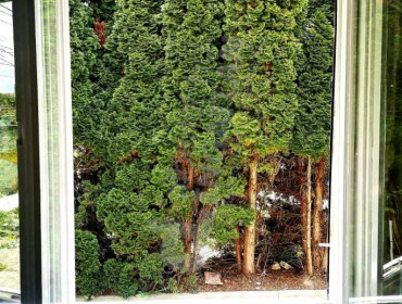 Táncsics Mihály utca-budapest-xxiii-kerulet-tancsics-mihaly-utca_10.jpg