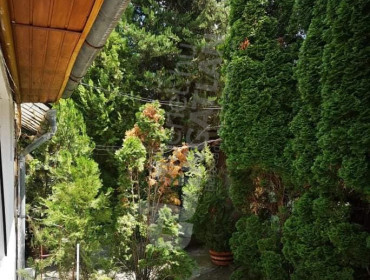 Táncsics Mihály utca-budapest-xxiii-kerulet-tancsics-mihaly-utca_11.jpg