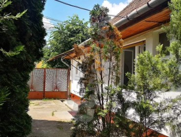 Táncsics Mihály utca-budapest-xxiii-kerulet-tancsics-mihaly-utca_9.jpg