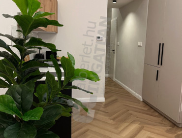 Paulay Ede utca-budapest-vi-kerulet-paulay-ede-utca_7.jpg