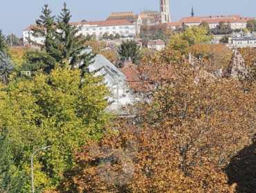 Németvölgyi út-budapest-xii-kerulet-nemetvolgyi-ut_5.jpg