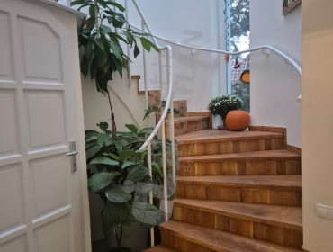 Patkó utca-budapest-xii-kerulet-patko-utca_5.jpg