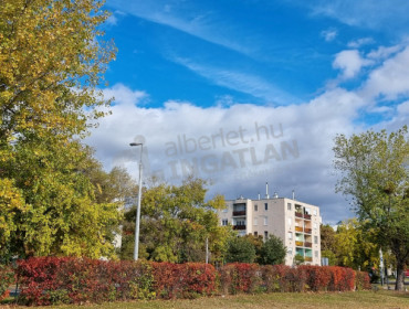 Óbester utca-budapest-ix-kerulet-obester-utca_12.jpg