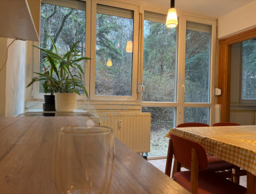 Toboz utca-budapest-iii-kerulet-toboz-utca_19.jpg