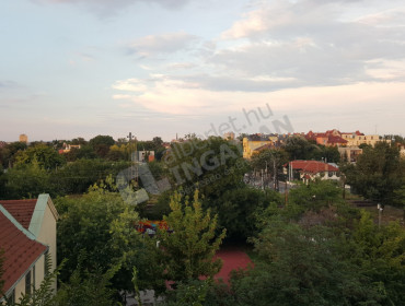 Erzsébet királyné útja-budapest-xiv-kerulet-erzsebet-kiralyne-utja_3.jpg