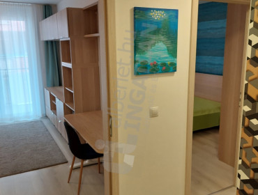 Bérkocsis utca-budapest-viii-kerulet-berkocsis-utca_18.jpg