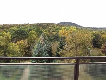 Kuruclesi út-budapest-ii-kerulet-kuruclesi-ut_2.jpg