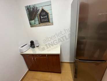 Tolnai Lajos utca-budapest-viii-kerulet-tolnai-lajos-utca_8.jpg