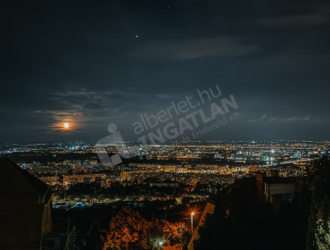 Flóra utca-budapest-iii-kerulet-flora-utca_21.jpg