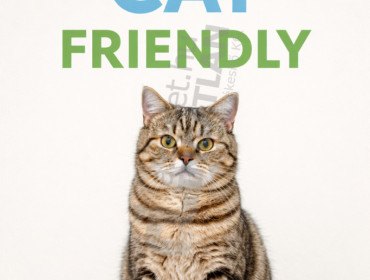 Szinyei Merse utca-budapest-vi-kerulet-szinyei-merse-utca_8.jpg