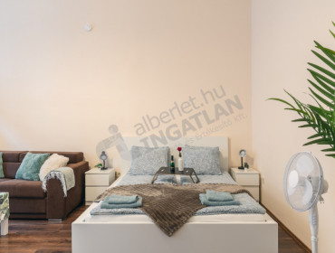 Hegedű utca-budapest-vi-kerulet-hegedu-utca_18.jpg