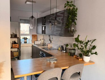 Damjanich utca-budapest-vii-kerulet-damjanich-utca_3.jpg