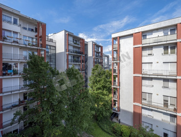 Petneházy utca-budapest-xiii-kerulet-petnehazy-utca_15.jpg