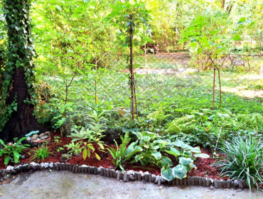 Hollán Ernő utca-budapest-xiii-kerulet-hollan-erno-utca_13.jpg