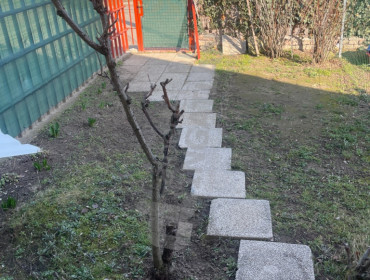 Ív utca-budapest-xxi-kerulet-iv-utca_21.jpg