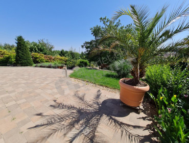 Éden utca-budapest-iii-kerulet-eden-utca_4.jpg