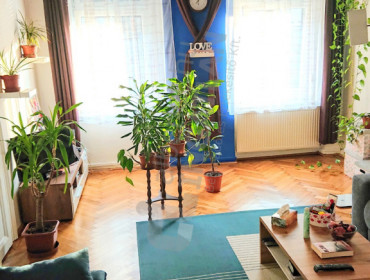 Vörösmarty utca-budapest-vii-kerulet-vorosmarty-utca_13.jpg