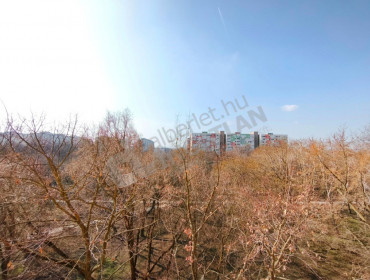 Újváros park-budapest-xiv-kerulet-ujvaros-park_15.jpg