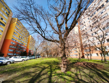 Újváros park-budapest-xiv-kerulet-ujvaros-park_8.jpg