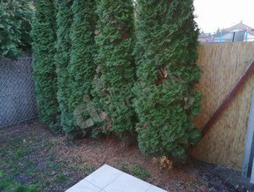 Bozsik József körút-ullo-bozsik-jozsef-korut_6.jpg