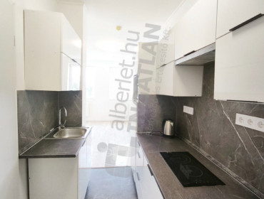 Telepy utca-budapest-ix-kerulet-telepy-utca_16.jpg