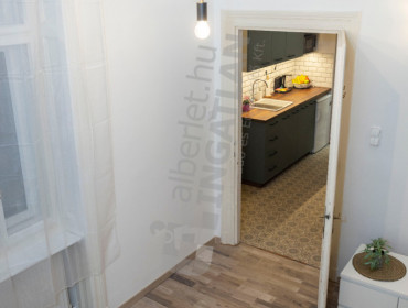 Peterdy utca-budapest-vii-kerulet-peterdy-utca_15.jpg