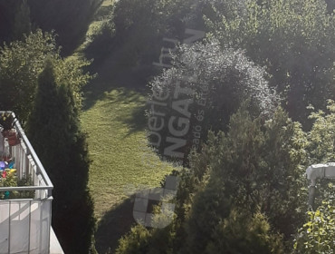 Alsó határút út-budapest-xx-kerulet-also-hatarut-hatarut_6.jpg