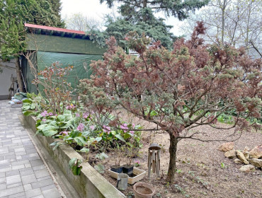 Gyimes utca-budapest-xii-kerulet-gyimes-utca_37.jpg