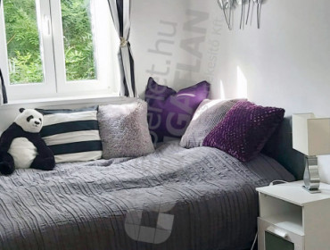 Lotz Károly utca-budapest-ii-kerulet-lotz-karoly-utca_9.jpg