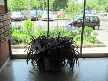 Népfürdő utca-budapest-xiii-kerulet-nepfurdo-utca_7.jpg