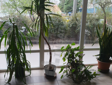 Népfürdő utca-budapest-xiii-kerulet-nepfurdo-utca_12.jpg