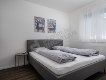 Bauer Sándor utca-budapest-viii-kerulet-bauer-sandor-utca_9.jpg