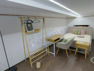 Szűz utca-budapest-viii-kerulet-szuz-utca_15.jpg