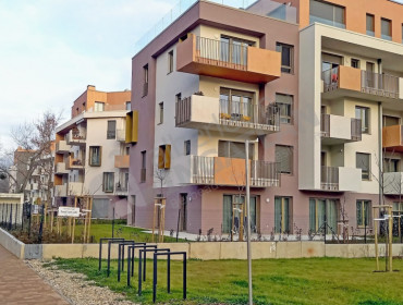 Pálinkás Antal utca