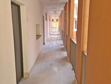 Pálinkás Antal utca-budapest-xi-kerulet-palinkas-antal-utca_7.jpg